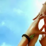 جدل التسامح والحرية بين الفكر الأوروبي والفكر الإسلامي