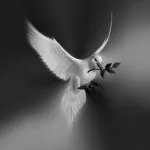 مفهوم الإرادة العامّة والتأسيس الأخلاقي والقانونيّ للحريّة والتسامح