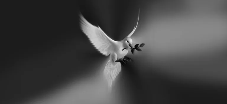 مفهوم الإرادة العامّة والتأسيس الأخلاقي والقانونيّ للحريّة والتسامح