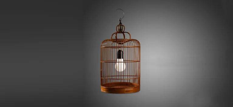 فـي الانتصار لحرية الفكر