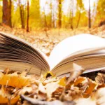 نظرية التجاوز المذهبي لا للعداء والوحدة والتقريب، نعم للتجاوز