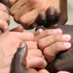 لاتسامح النسق: من أجل نقد ثقافي