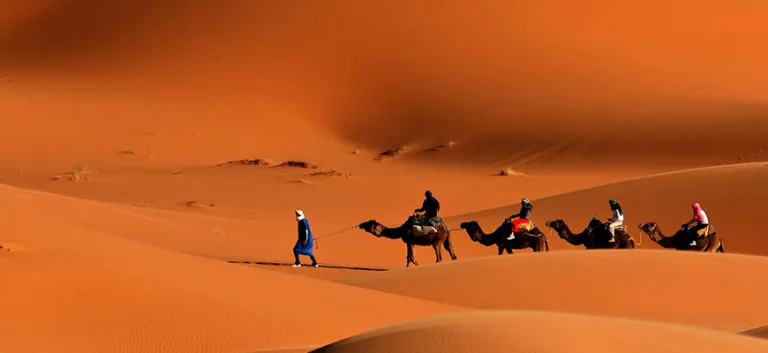 إدرار المعنى على هجرة المصطفى