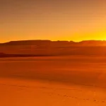 المرجعيات الفقهية وصِناعة الوهْم