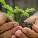 في الحاجة إلى براديغم مؤسس للإنسية في النص الديني