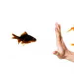 بين منطق الدعوة و منطق المعرفة: عود إلى إشكالية التحيّز