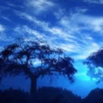 يوسف والرؤيا : النتيجة والمُقدّمتان؛ الصُغْرَى والكُبْرَى