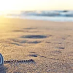 التاريخ الشفوي: تاريخ من لا تاريخ له