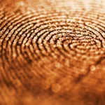 مقاربة في مسألة الهوية بالمعنى الواقعي: قوة الهوية في انفتاحها لا انغلاقها