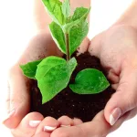 مفهوم "الحياة" عند برجسون «La vie débord L’intelligence»