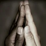 من يد التسامح إلى عناق السماحة