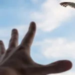 في مفهوم الانفصال