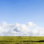 ارتقاء المعاني ومحنة الخلاص الإنساني