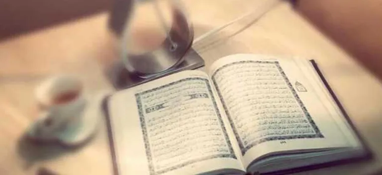 العقل الإسلامي…هموم التحرير والتنوير