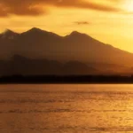 العقل والدين: بحث في الأصول الدينية للعقل عند دوركهايم