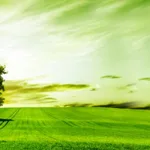 التعاقدية المدنية ومدخلية الاعتبارات الطبيعية في توليد الانتماء والمآل الانغلاقي