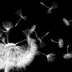 الصور النمطية بين "نقاء" الذات وشيطنة الآخر