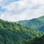 الدين الطبيعي