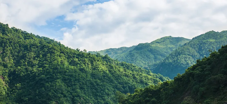 الدين الطبيعي