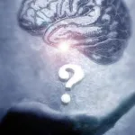 النظرية (Theory)