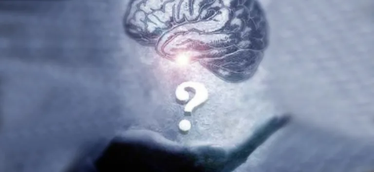 النظرية (Theory)