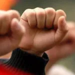 الدّولة بعد الثّورات العربيّة وإشكاليّة الأنّموذج