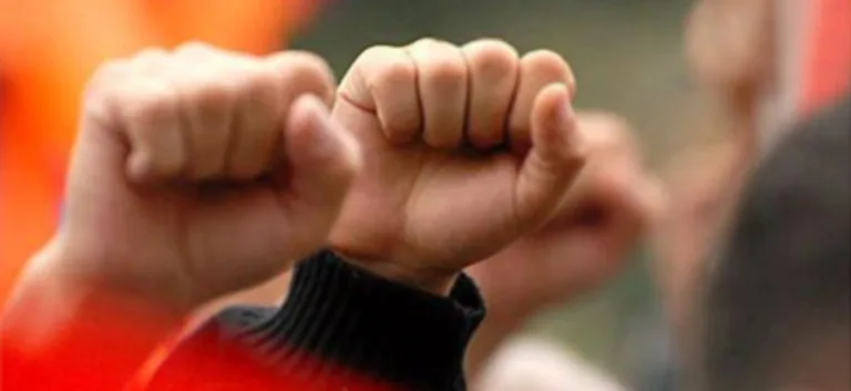 الدّولة بعد الثّورات العربيّة وإشكاليّة الأنّموذج