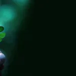 نشوئيّة العقل الفقهي الإسلامي: نحو براديغم حقوقي جديد