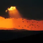 فلسفة السؤال في القرآن الكريم