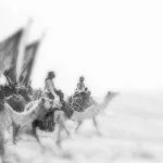 البحث في نشأة الإسلام