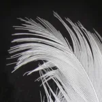 الصراع بين الإيمان والوثنية في السيرة الشعبية الإسلامية: سيرة راس الغول أنموذجا