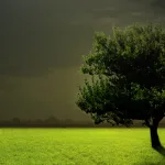 خطيئة آدم وحواء بين التصوّر المسيحي والتصوّر الإسلامي