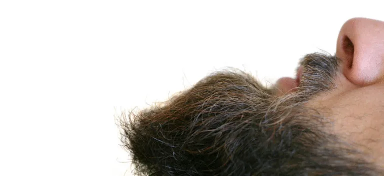 السلفيّة الإسلاميّة: خلفيّات الماضي وآفاق المستقبل