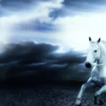 صــورة المهدي المنتظر في المتخيّل الإمامي الاثني عشــري