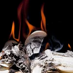 أنوار العقول ونيران العقائد: قراءة في ظاهرة حرق الكتب وإتلافها