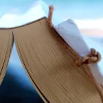 الدين وجودة الحكامة : قراءة نقدية للأدبيات الاقتصادية عن الأديان والفساد