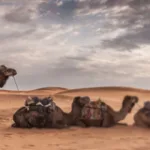 ثنائية التقليد والحداثة في خطاب النخبة المغربية خلال القرن التاسع عشر: الرحلات السفاريّة أنموذجاً