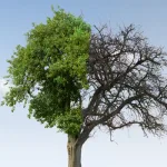 سنن التغيير في الإسلام وفي نماذج من التفكير الإسلامي