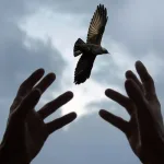 التسامح والحرية الدينية في الفكر الأوروبي