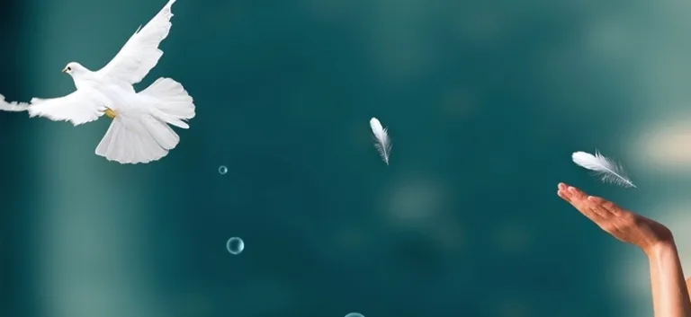 حرية المعتقد والضمير في خطاب الإسلاميين المعاصرين ورهانات الانتقال الديمقراطي