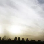 الثورات العربية وإشكالية ماهية الدولة