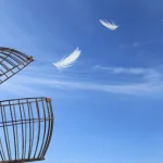 الحرية في الخطاب الإسلامي السياسي