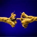 الديمقراطية والمواطنة والتعددية في بلدان ما بعد الثورة