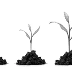 الثقافة السياسية وإشكالية الانتقال الديمقراطي: رؤية نقدية لتداعيات الربيع العربي