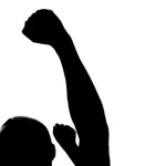 الإسلاميون المعتدلون وصراع البقاء