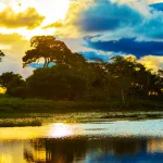 الدين والتنوير: تحرير الدين من التيولوجيا السياسية، أو نحو حداثة بدون عوائق