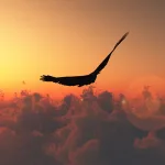 في الدين والتسامح والحرية؛ الإسلام أنموذجا