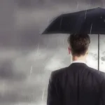 ضمانات الحماية