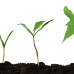 أجيال حقوق الإنسان