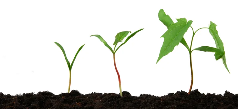 أجيال حقوق الإنسان